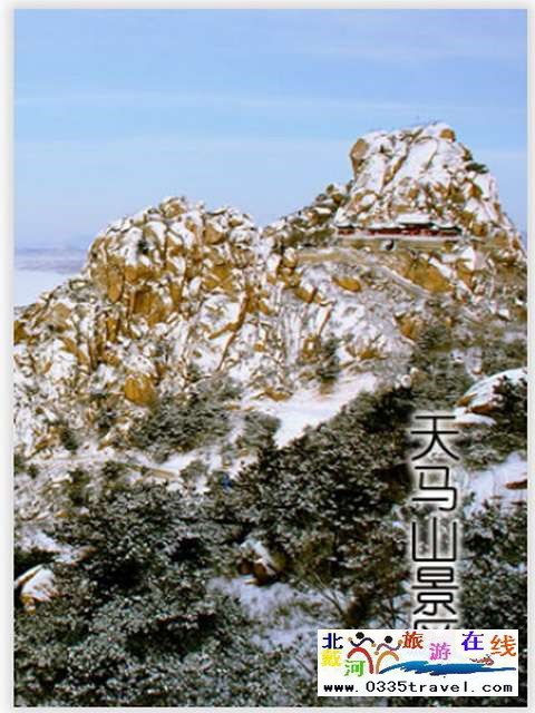 20170311133114142594